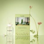 reed diffuser, long lasting home fragrance & scent diffuser, 200ml essential oil room freshener for bedroom, living room & bathroom reed diffuser, long lasting home fragrance & scent diffuser, 200ml essential oil room freshener for bedroom, living room & bathroom