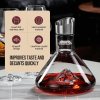 carla home iceberg wine decanter with aerator filter and lid carla home iceberg wine decanter with aerator filter and lid