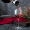 carla home iceberg wine decanter with aerator filter and lid carla home iceberg wine decanter with aerator filter and lid