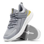 moon-grey