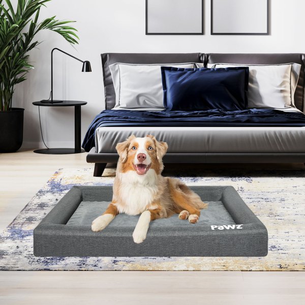 pawz memory foam pet bed calming dog l large