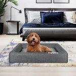 pawz memory foam pet bed calming dog m medium