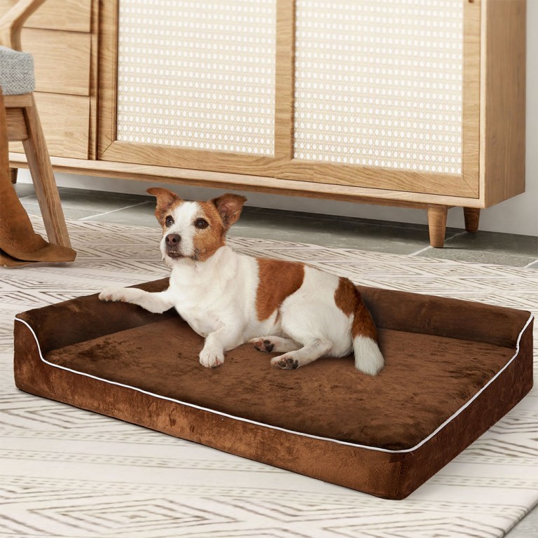 pawz orthopedic dog bed m coffee