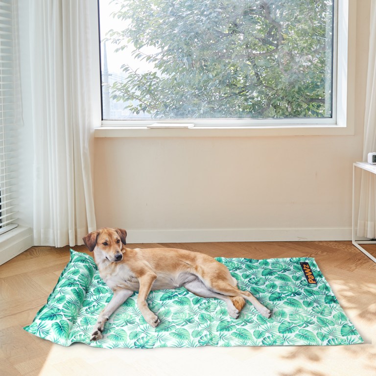 pawz pet cooling mat cat dog gel non toxic large