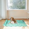pawz pet cooling mat cat dog gel non toxic medium pawz pet cooling mat cat dog gel non toxic medium