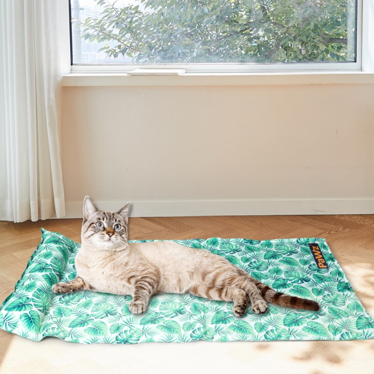 pawz pet cooling mat cat dog gel non toxic small