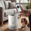 spector air purifier hepa air cleaner app control alexa 70㎡ smoke odor pet home