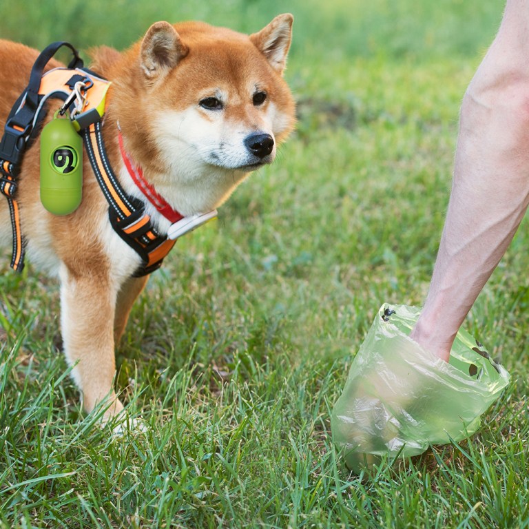 pawz 100% compostable biobased dog poop bags