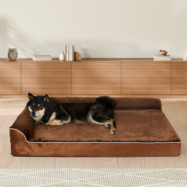 pawz orthopedic dog bed l coffee pawz orthopedic dog bed l coffee