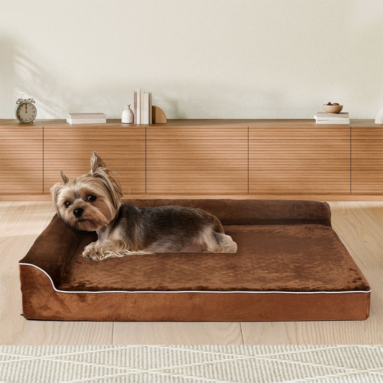 pawz orthopedic dog bed m coffee