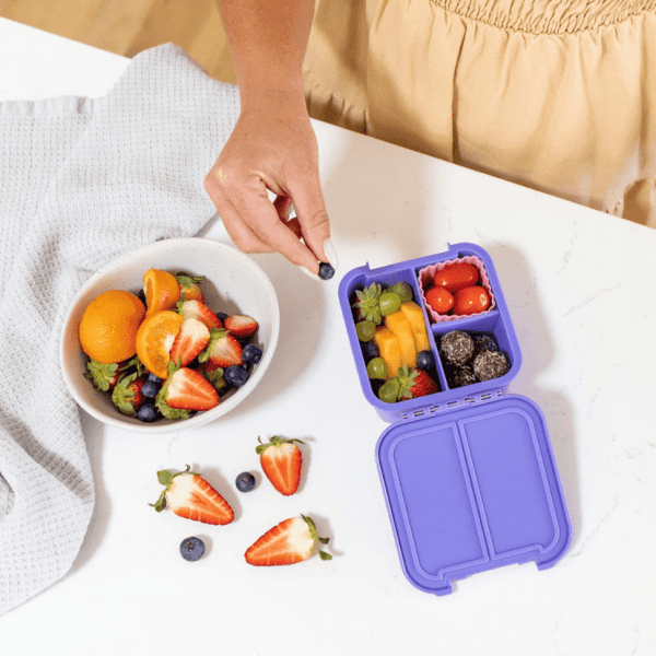 little lunch box co bento two strawberry