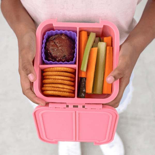 little lunch box co bento two strawberry