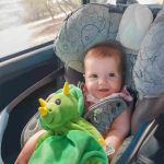 dash the dinosaur dash the dinosaur