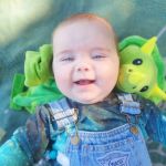 dash the dinosaur dash the dinosaur