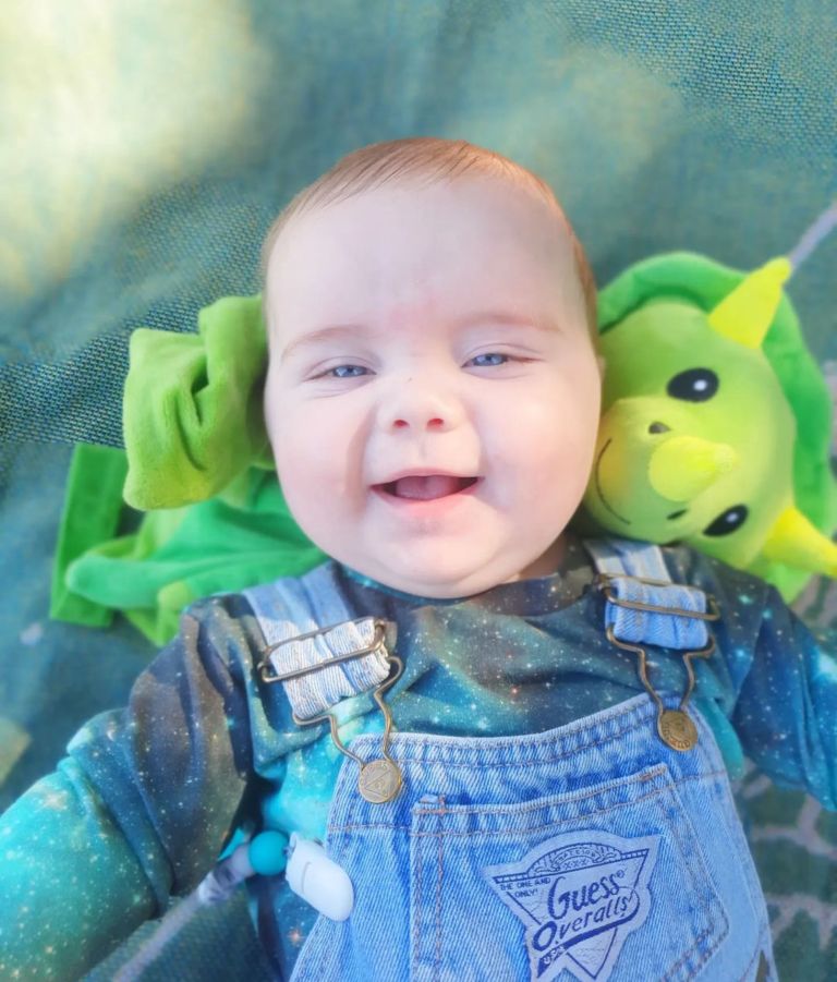 dash the dinosaur dash the dinosaur
