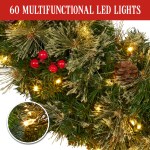christabelle 61cm christmas wreath bristle berry with led lights front door decoration ornament christabelle 61cm christmas wreath bristle berry with led lights front door decoration ornament