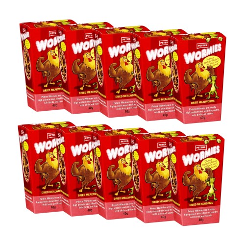 wp01 258.jpg wp01 258.jpg