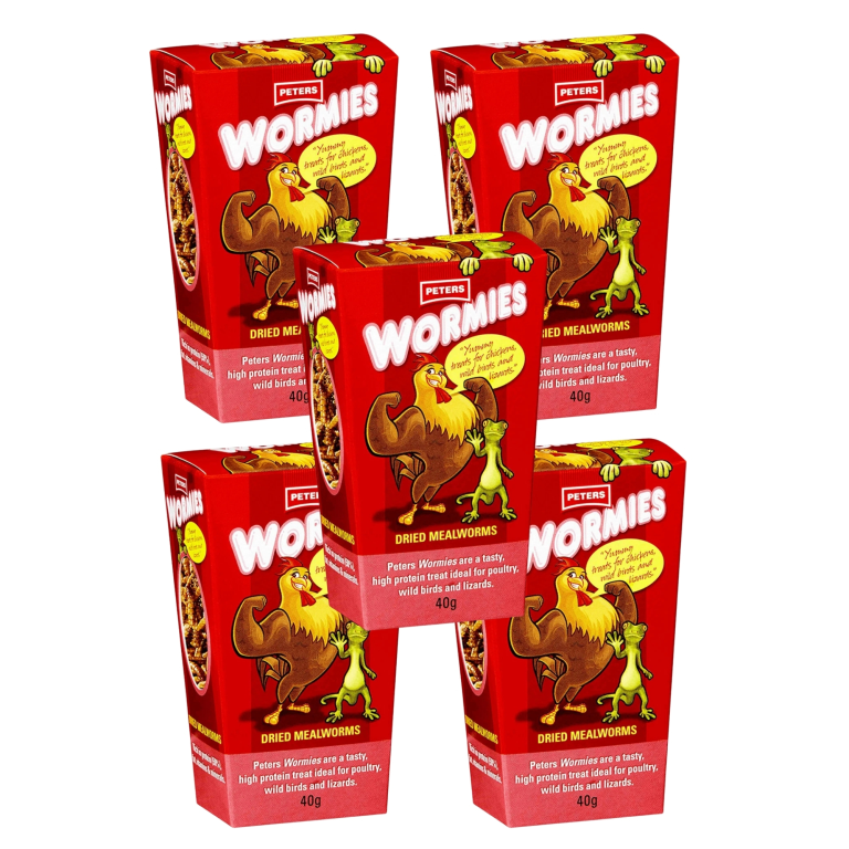 wp01 259.jpg