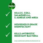 dettol 600 x disinfectant wipes fresh (300's x 2)